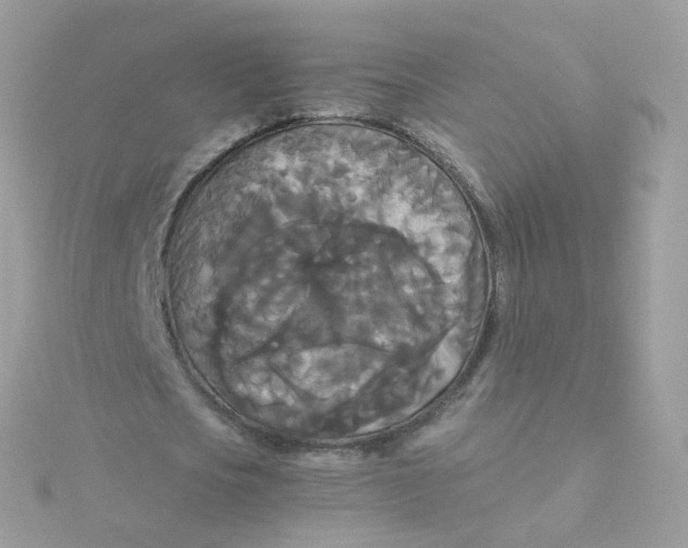 X0000115700721200911251833