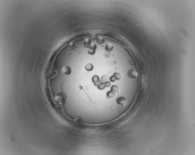 X0000115700725200911251833