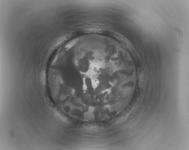 X0000115700729200911251833