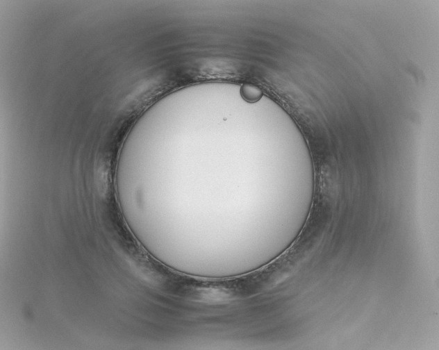 X0000115700741200911251834