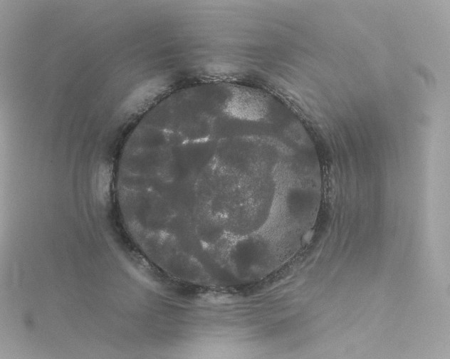 X0000115700742200911251834