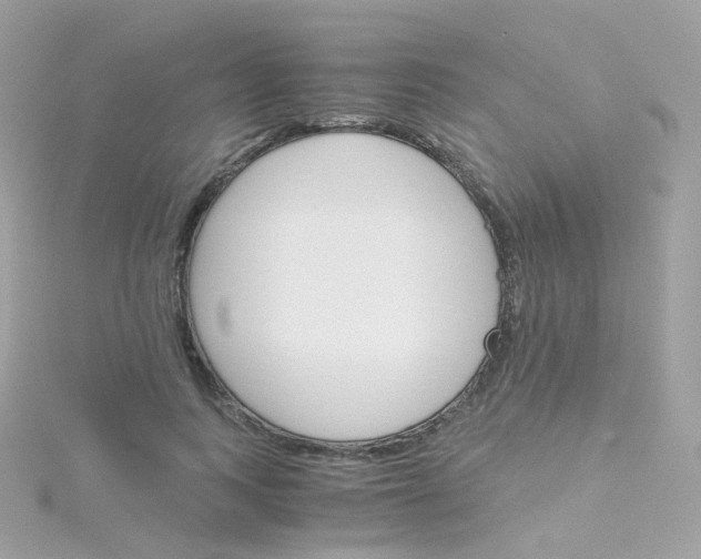 X0000115700743200911251834