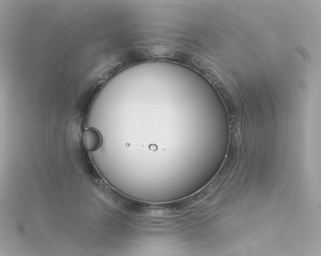 X0000115700746200911251834