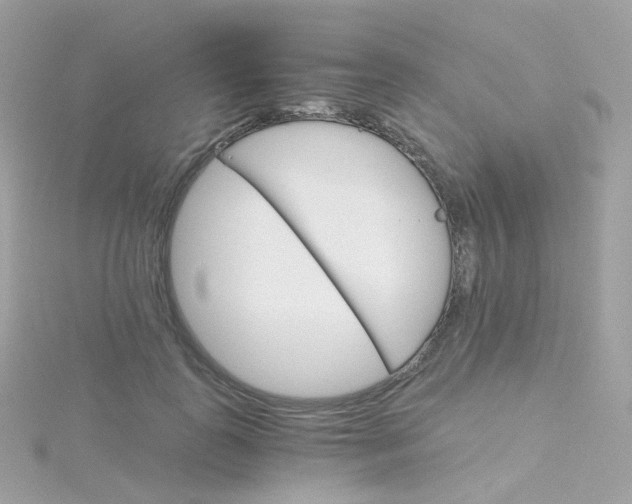 X0000115700747200911251834