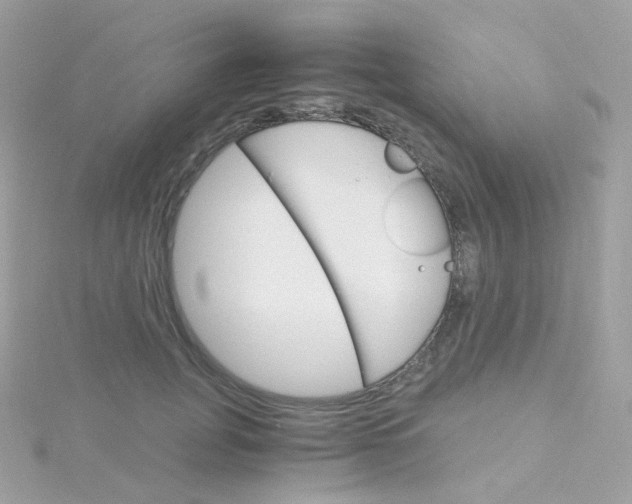 X0000115700751200911251834