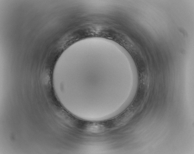 X0000115700754200911251834