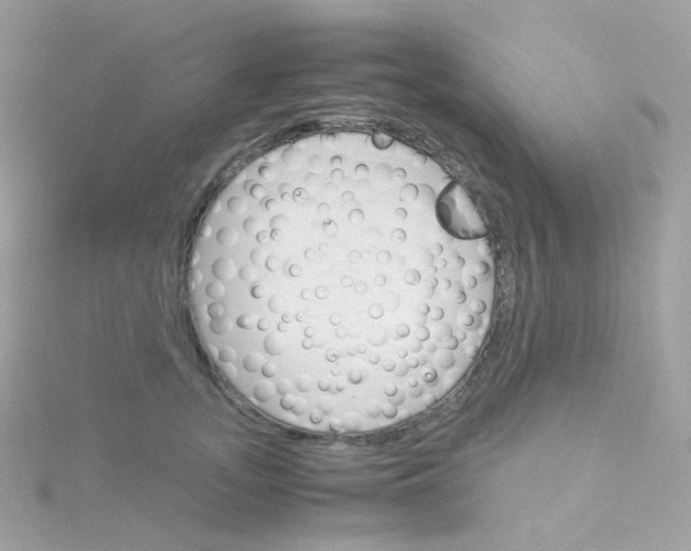 X0000115700755200911251834