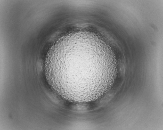 X0000115700758200911251834