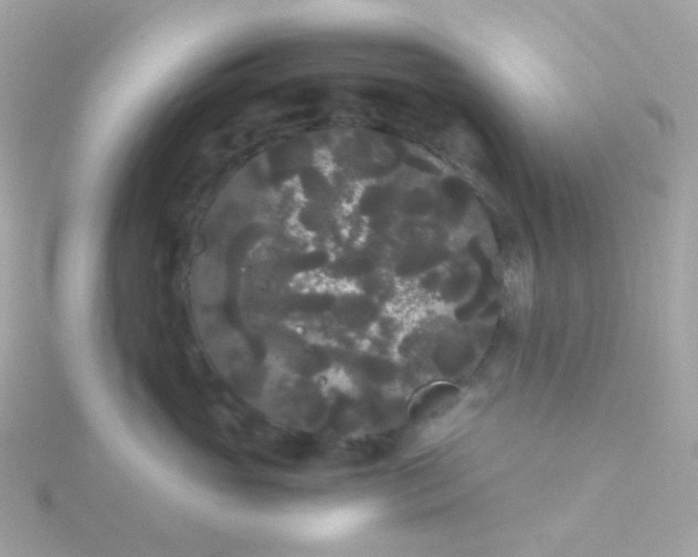 X0000115700765200911251834