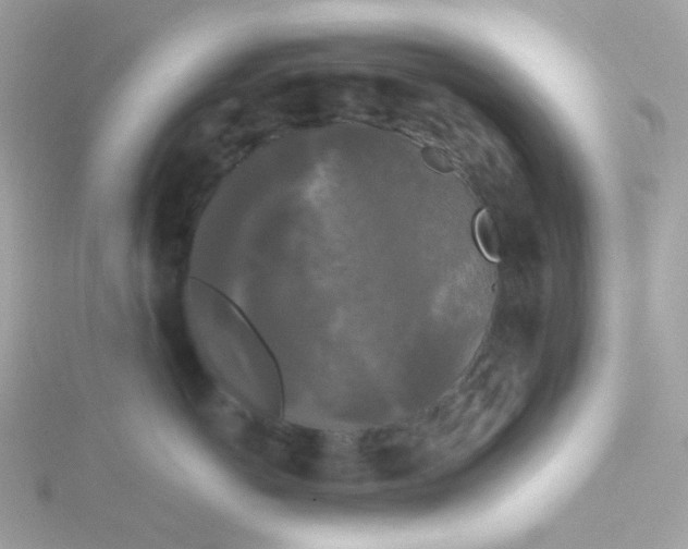 X0000115700766200911251834