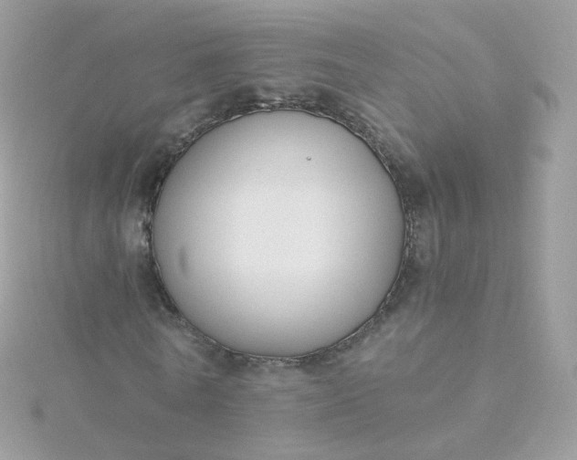 X0000115700770200911251833