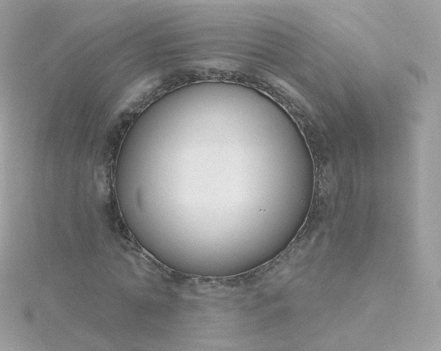 X0000115700774200911251833