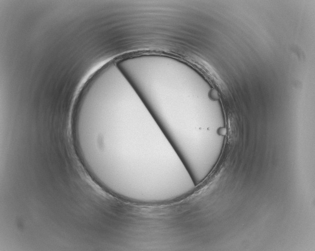 X0000115700780200911251833