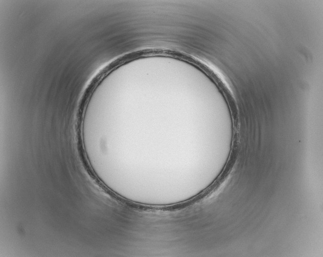 X0000115700783200911251833