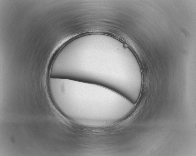 X0000115700787200911251833