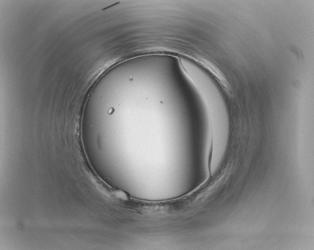 X0000115700793200911251833