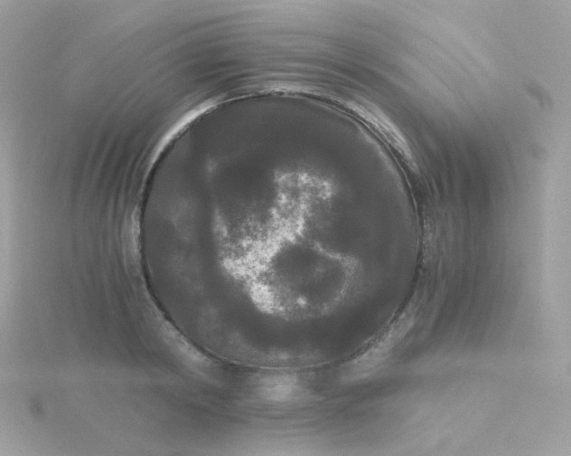 X0000115700798200911251833