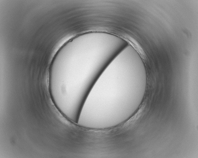 X0000115700804200911251833