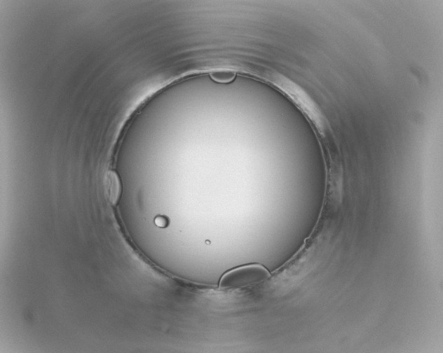 X0000115700805200911251833