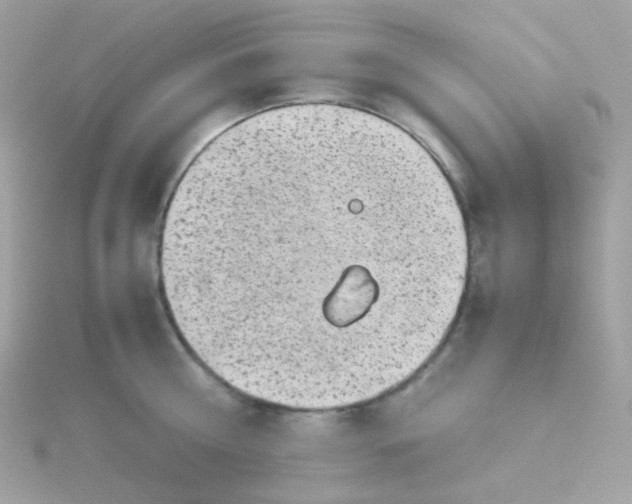 X0000115700810200911251833