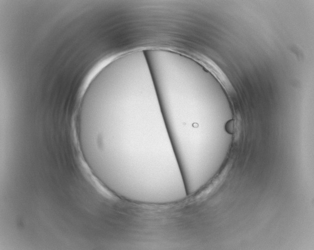 X0000115700812200911251833