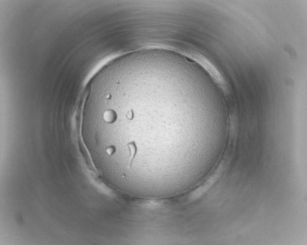 X0000115700814200911251833