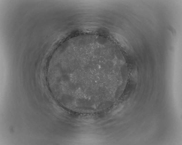 X0000115700817200911251832