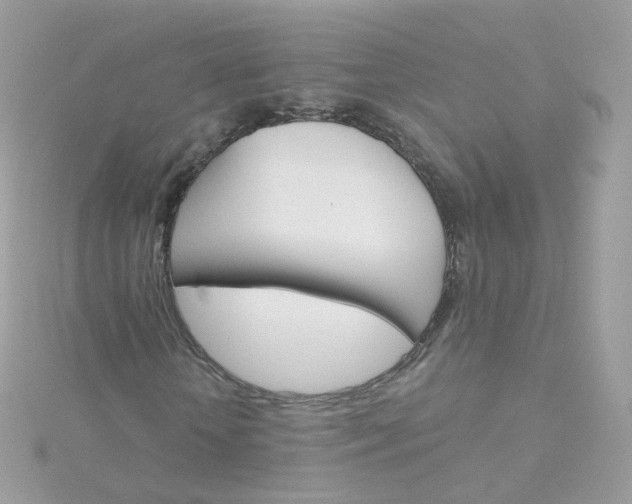 X0000115700818200911251832