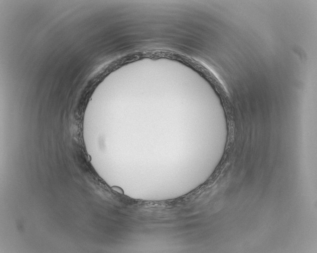 X0000115700823200911251832