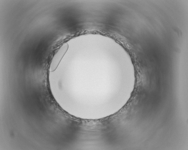 X0000115700824200911251832