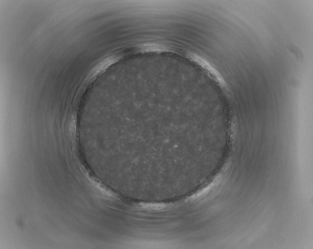 X0000115700825200911251832