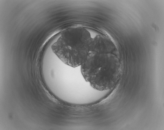 X0000115700827200911251832