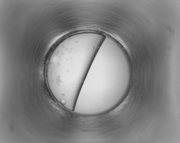 X0000115700830200911251832