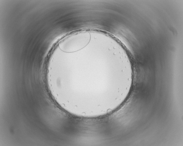 X0000115700832200911251832