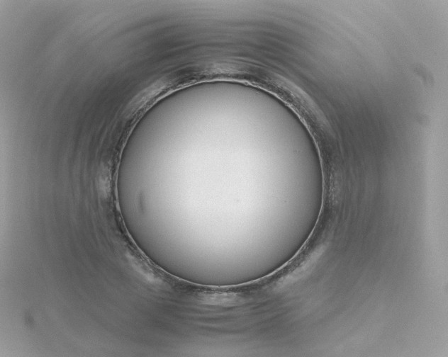 X0000115700833200911251832