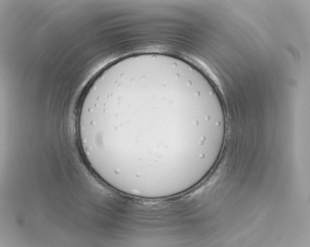 X0000115700835200911251832