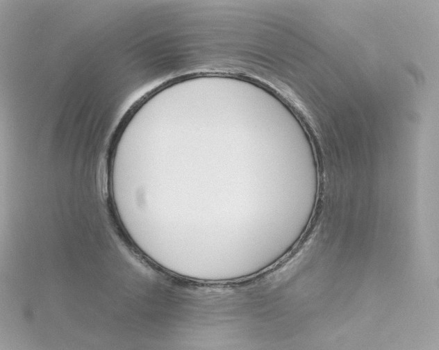 X0000115700838200911251832