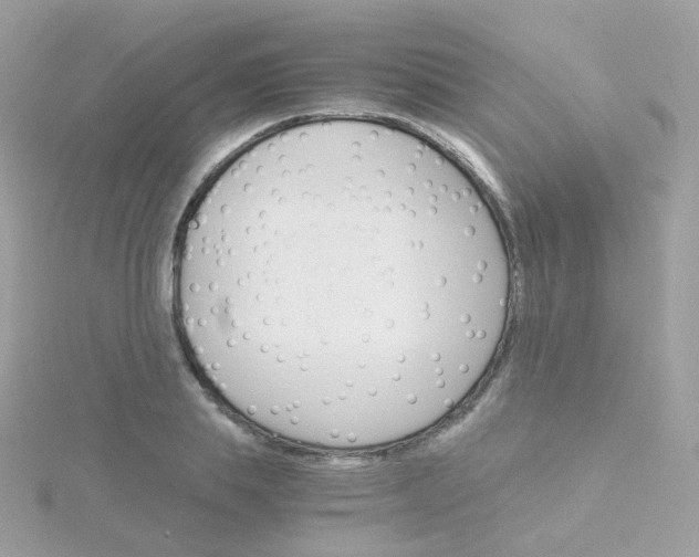 X0000115700839200911251832