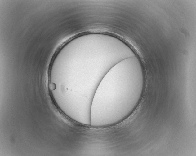 X0000115700840200911251832