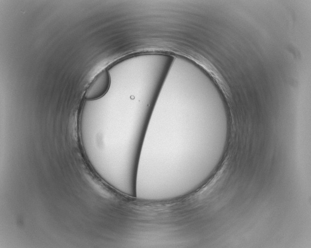 X0000115700842200911251832