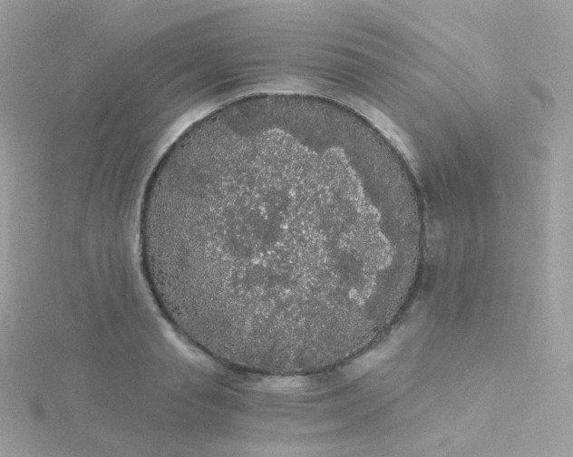 X0000115700845200911251832