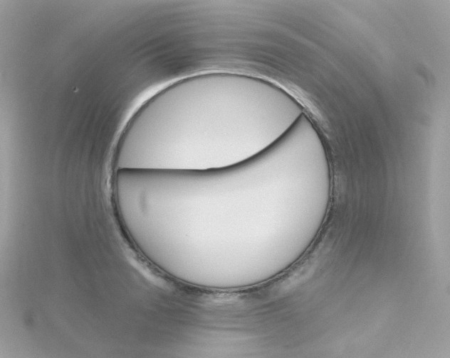 X0000115700846200911251832