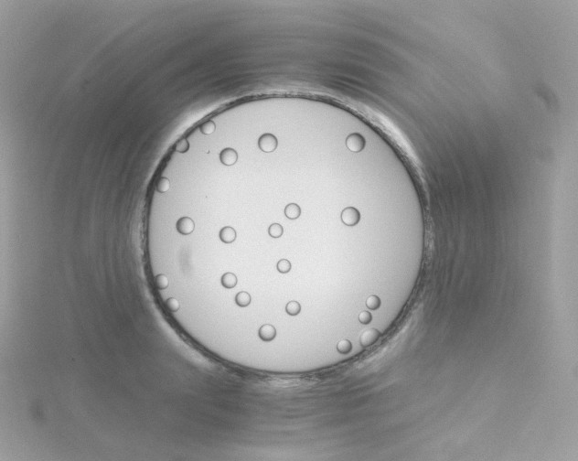 X0000115700847200911251832