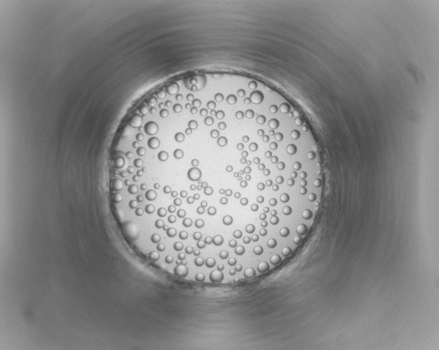 X0000115700848200911251833