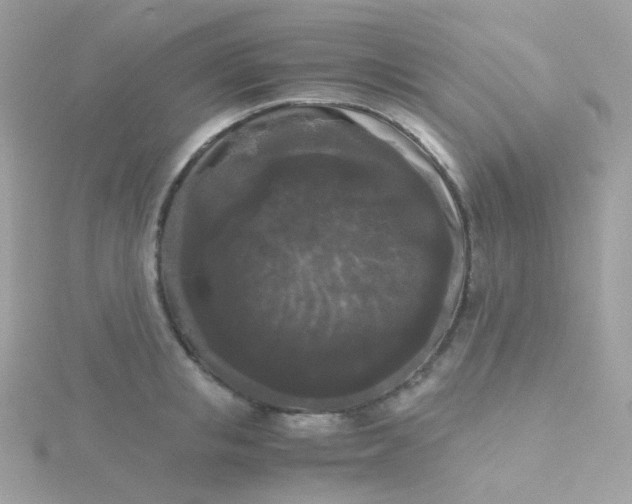 X0000115700853200911251833