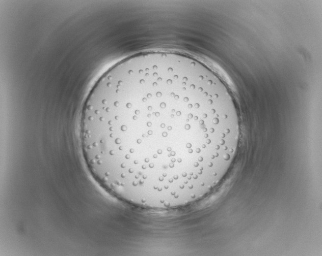 X0000115700855200911251833