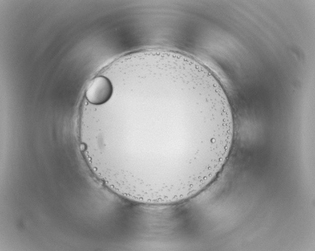 X0000115700856200911251833