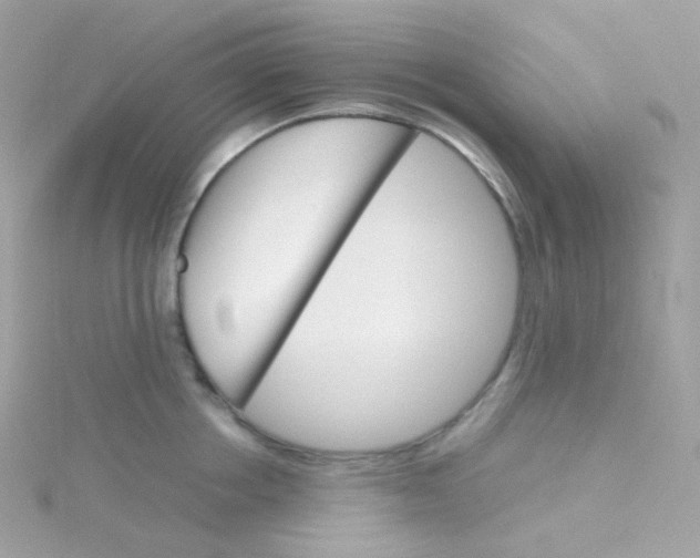 X0000115700858200911251833