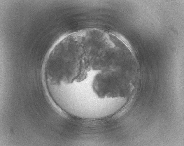 X0000115700859200911251833