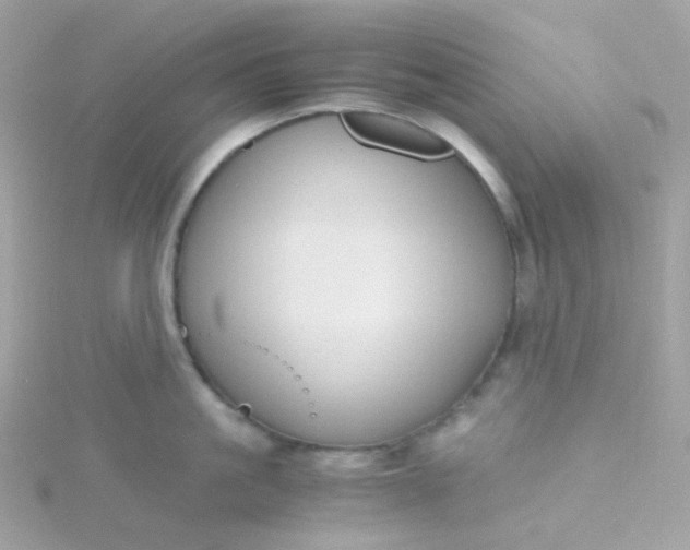 X0000115700861200911251833